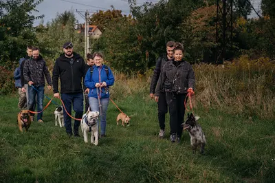 Psi Pazur - Centrum Terapii i Behawioru Psów